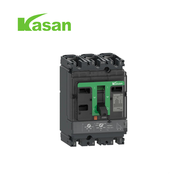 100A 3P NSX Case Circuit Circuit Circuit